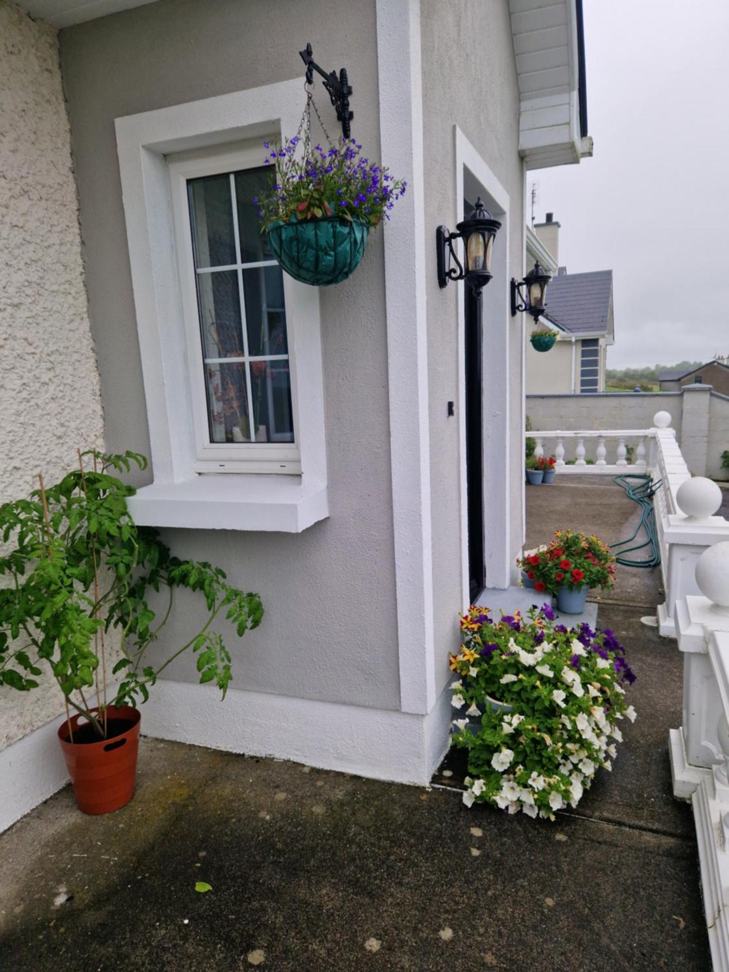 Forest View Dunmore Galway H54P897 Bed & Breakfast Dış mekan fotoğraf